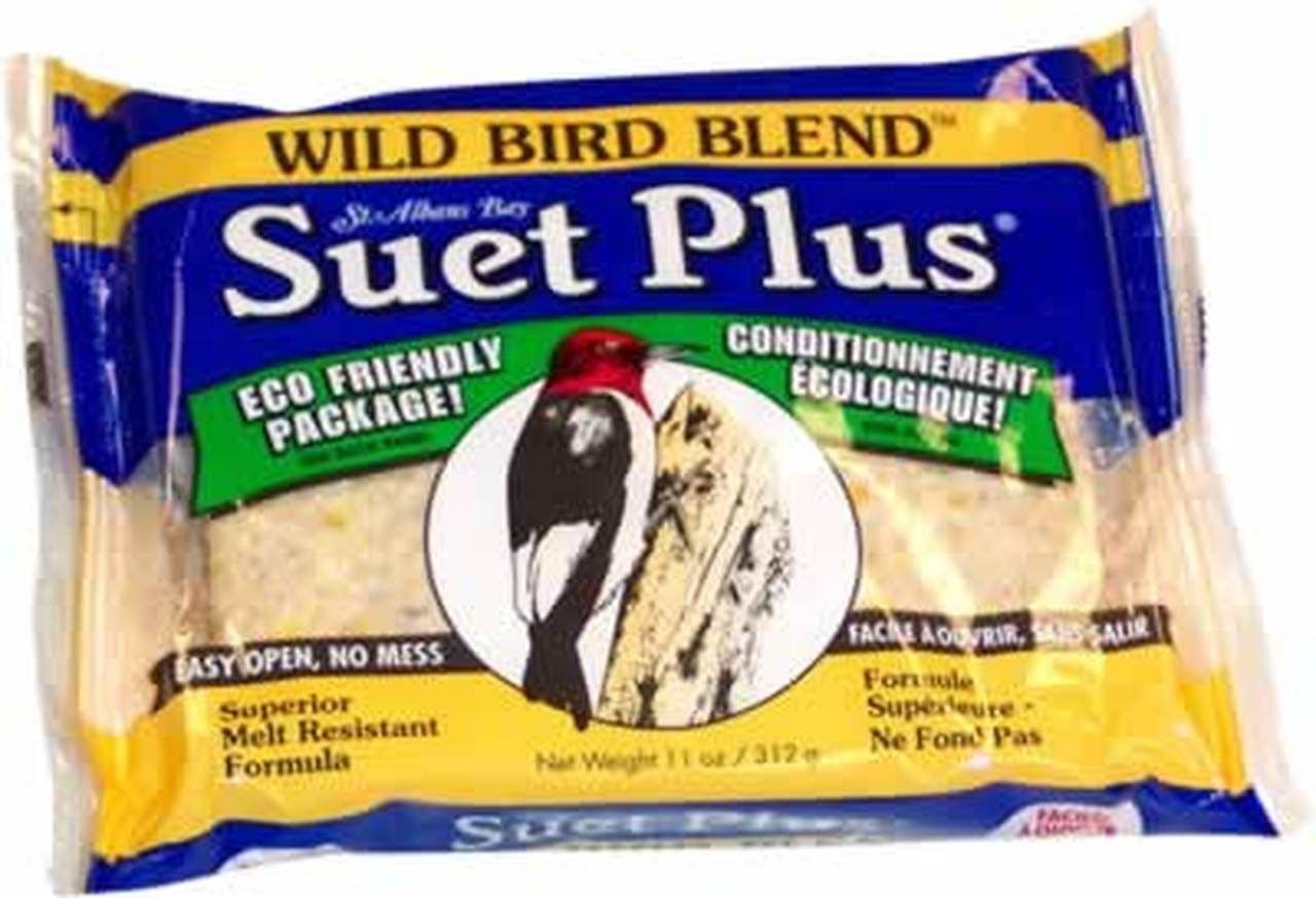 Suet Plus wild bird blend suet plus bird