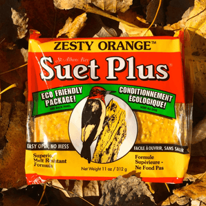 Suet Plus zesty orange suet plus bird
