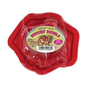 Zoomed Hermit Crab Dish - Red Neon