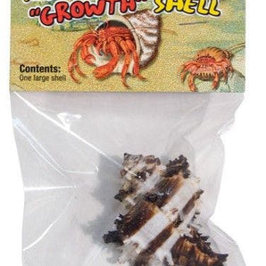 Zoomed Hermit Crab 2 Pack Growth Shell - medium