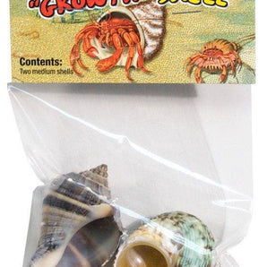 Zoomed Hermit Crab 2 Pack Growth Shell - medium