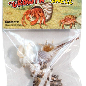 Zoomed Hermit Crab 3 Pack Growth Shell - small